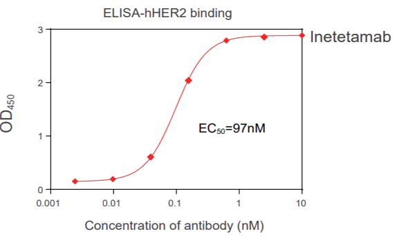 ʵ Binding assay (FACS, ELISA, SPR)-1